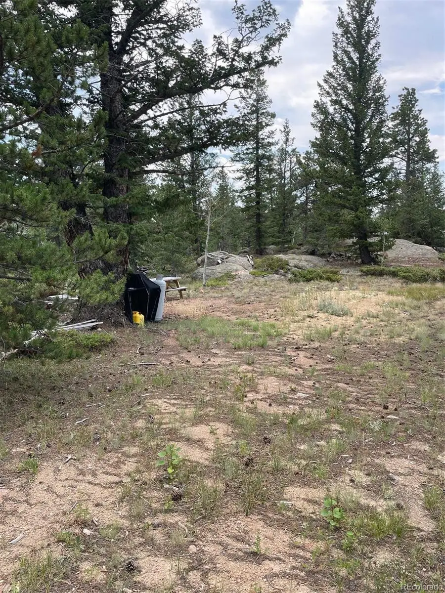 247 Sutiki Drive, Red Feather Lakes, CO 80545 - #3