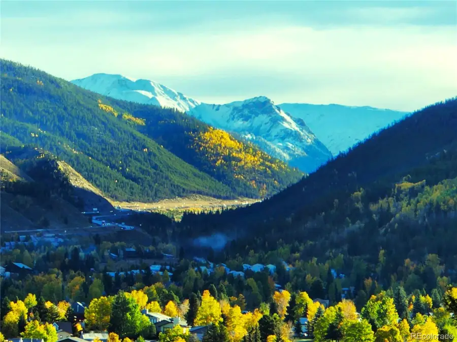 562 Piney Acres Circle, Dillon, CO 80435 - #3
