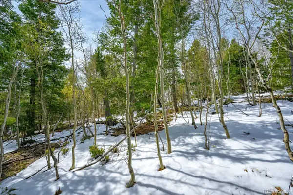 192 Deadwood Road, Cripple Creek, CO 80813