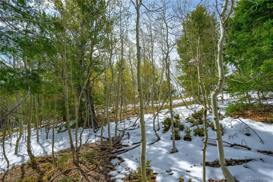 192 Deadwood Road, Cripple Creek, CO 80813 - #3