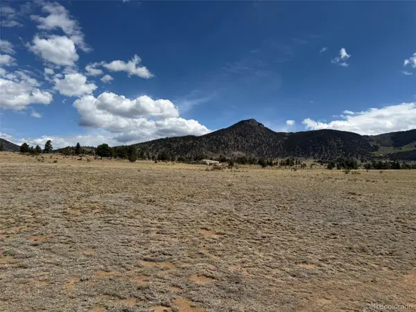 42 Turner Gulch Road, Hartsel, CO 80449
