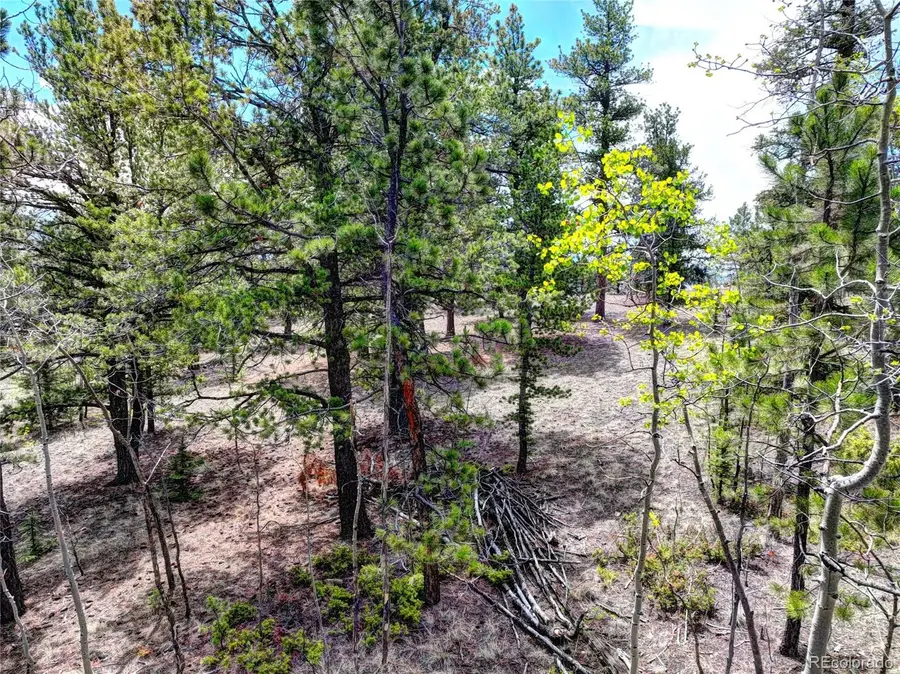 0 York Court, Jefferson, CO 80456 - #3