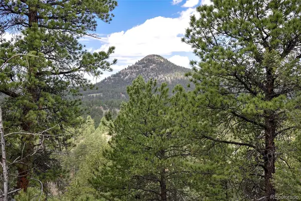 293 Badger Trail, Florissant, CO 80816