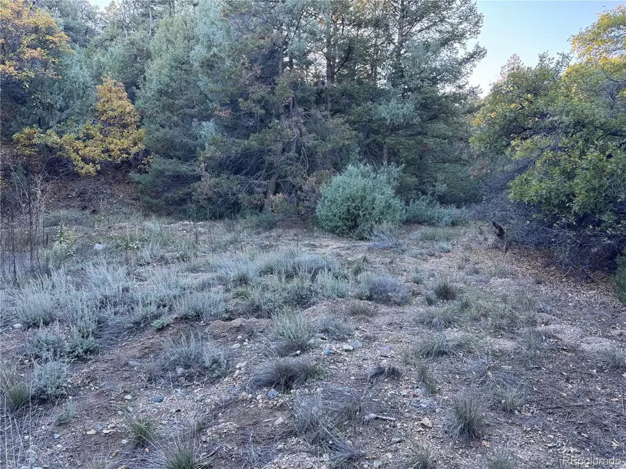 378 Lower Camp, Howard, CO 81233 - #2
