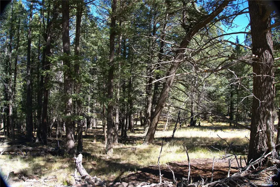 252 Southpark Road, Florissant, CO 80816 - Image #2