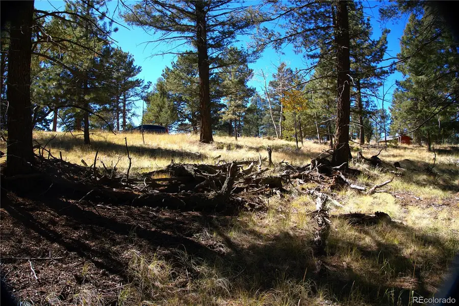 252 Southpark Road, Florissant, CO 80816 - Image #3