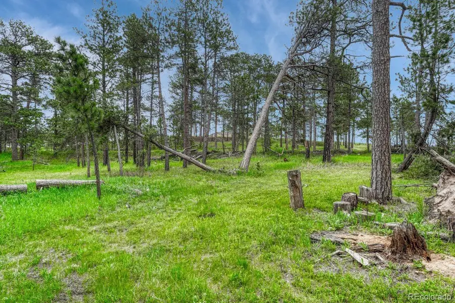 01 Wyandott, Colorado Springs, CO 80908 - Image #2