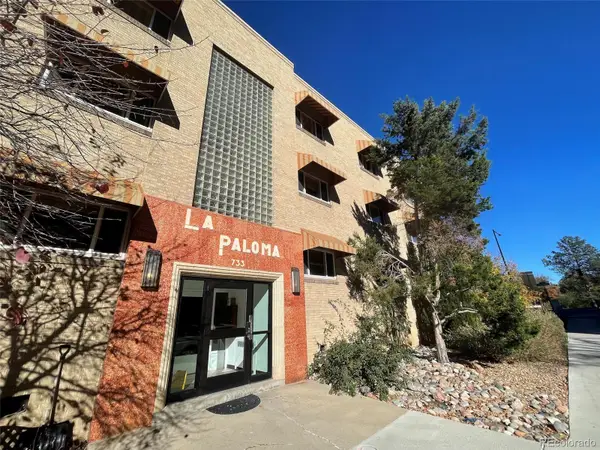 733 E 2nd Avenue #301, Denver, CO 80203