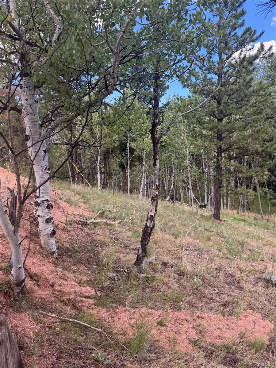 40 Sequoia Trail, Woodland Park, CO 80863 - #1