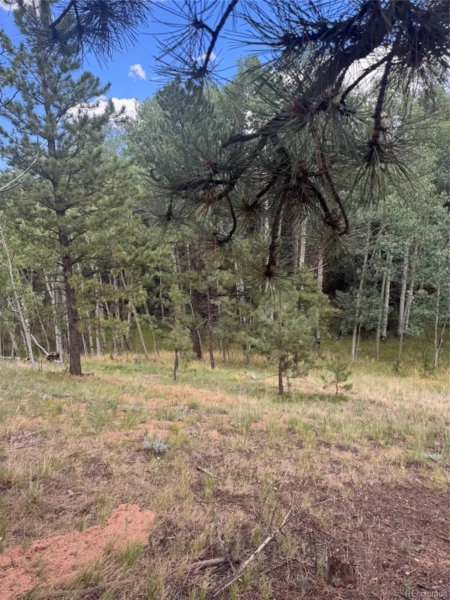 40 Sequoia Trail, Woodland Park, CO 80863 - #2