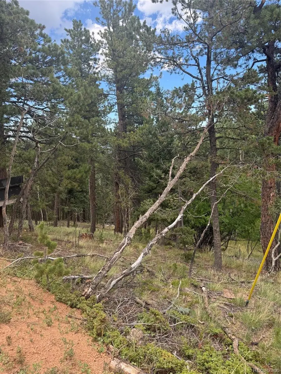 40 Sequoia Trail, Woodland Park, CO 80863 - #3