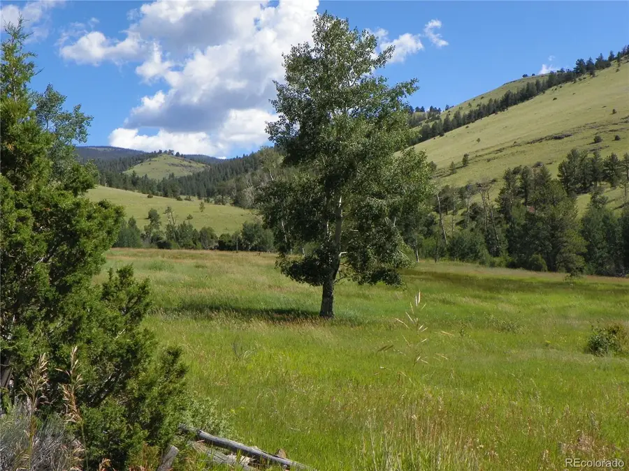 none 33hh, Saguache, CO 81149 - #3