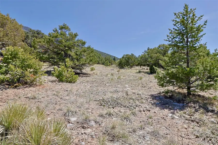 4319 Rambling Way, Crestone, CO 81131 - #2