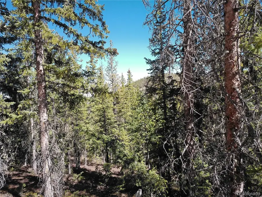 Forbes, Fort Garland, CO 81133 - #3
