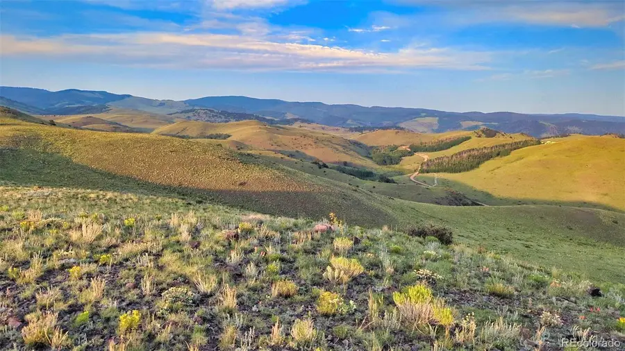 1931 Commanche Trail, Westcliffe, CO 81252 - #3