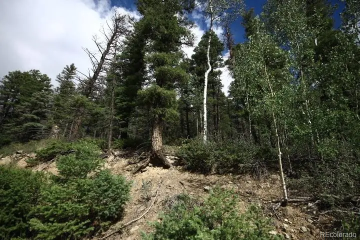 LOT 6078 Vreeland Road, San Luis, CO 81152 - #1
