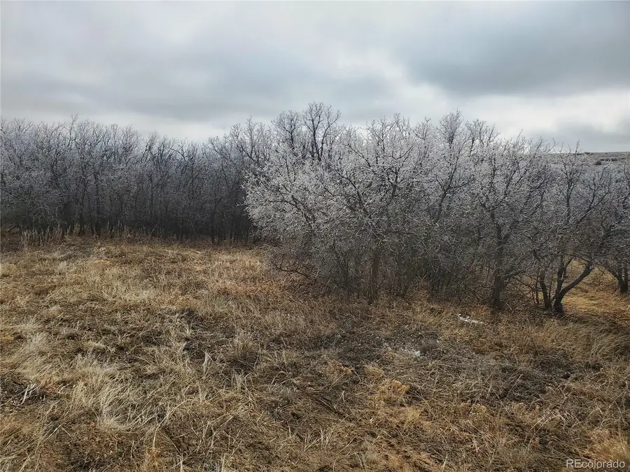 000 Thacker Road, Colorado City, CO 81069 - #3