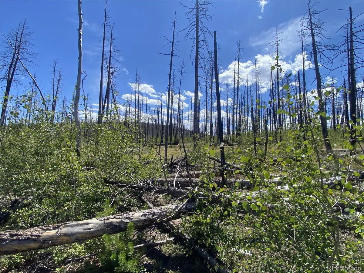 1637 Cary Lane, Fort Garland, CO 81133 - #1