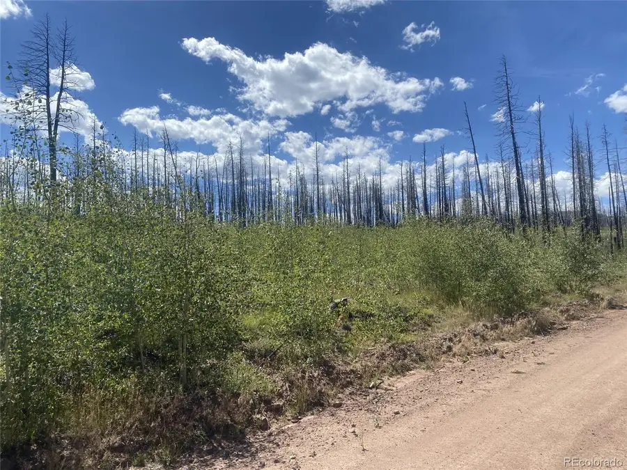 1637 Cary Lane, Fort Garland, CO 81133 - #2