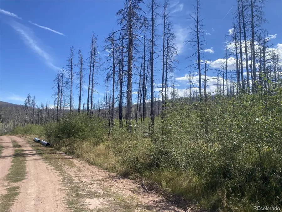 1637 Cary Lane, Fort Garland, CO 81133 - #3