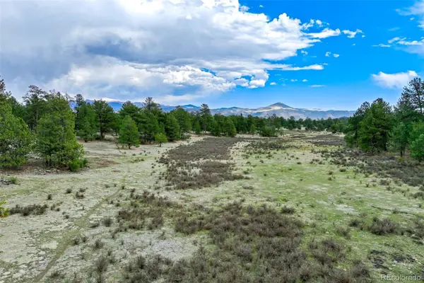 Tract 103 Doe Valley Road, Guffey, CO 80820