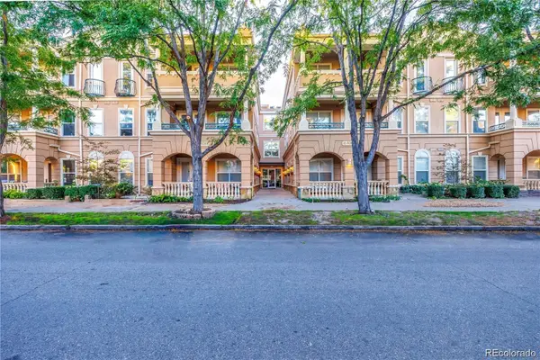 45 N Ogden Street #204, Denver, CO 80218