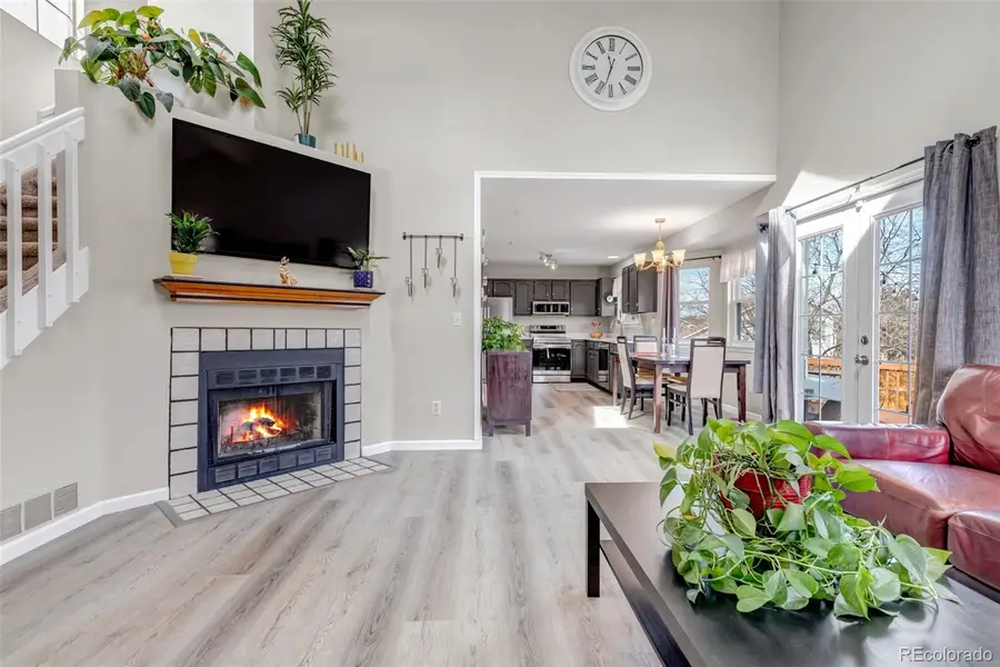 710 Howe Court, Castle Rock, CO 80104 - #3