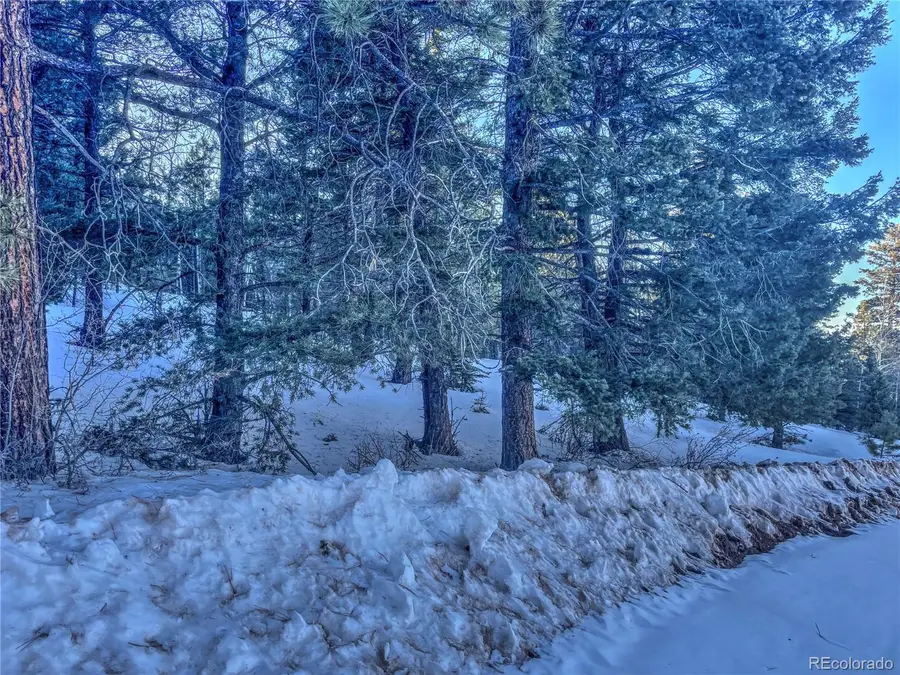 1174 Monarch Drive, Cripple Creek, CO 80813 - #3