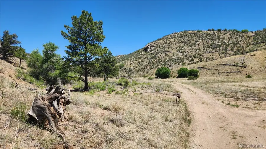 TBD L 35th Trail, Cotopaxi, CO 81223 - #2