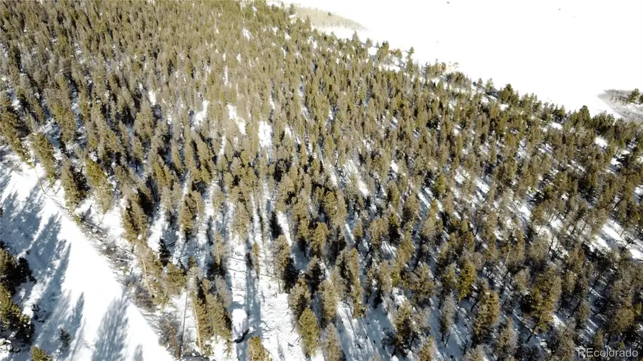 1348 Middle Fork Vista, Fairplay, CO 80440 - Image #3