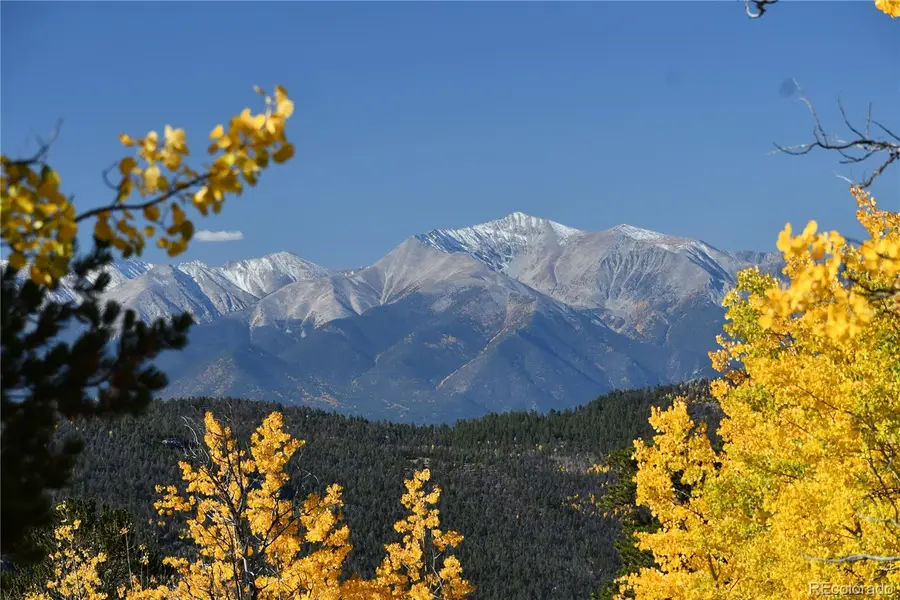 115 Mushroom Court, Buena Vista, CO 81211 - #3