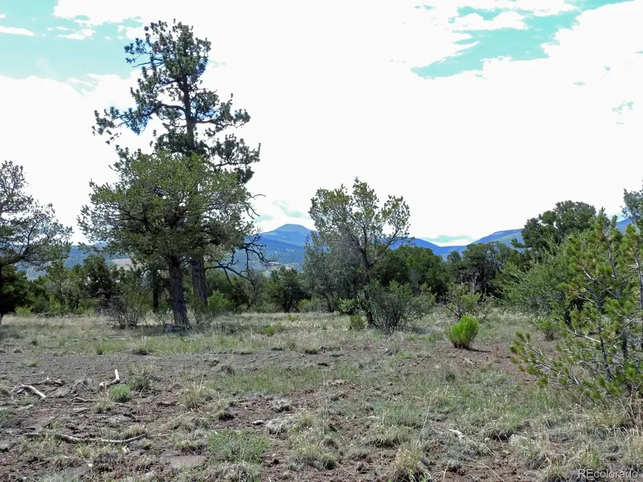 222 La Lomita Circle, South Fork, CO 81154 - Image #3