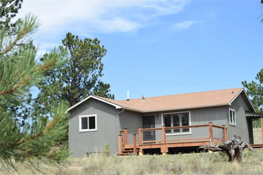 1651 Aspen Trail, Hartsel, CO 80449 - #3
