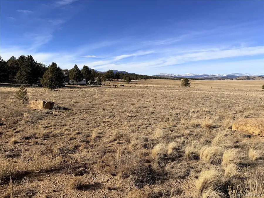 311 Harness Way, Hartsel, CO 80449 - Image #3