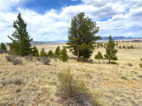 381 Red Cloud Road, Hartsel, CO 80449