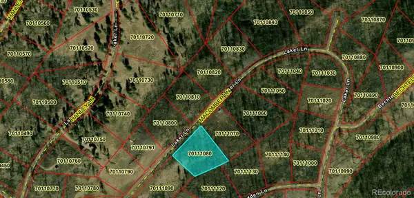 LOT 1195 Laker, Fort Garland, CO 81133
