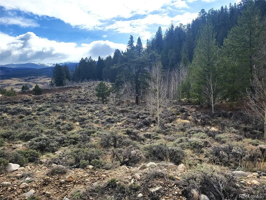 Edward E. Hill Lot 6 Drive, Twin Lakes, CO 81251 - Image #2