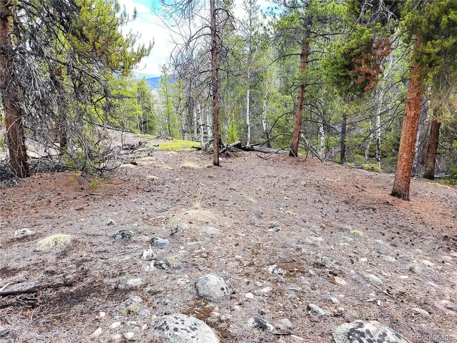 Edward E. Hill Lot 6 Drive, Twin Lakes, CO 81251 - Image #3