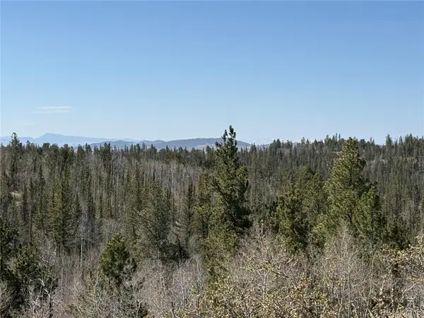 234 Warclub Court, Jefferson, CO 80456