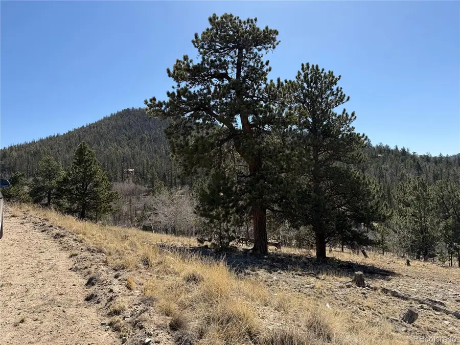 234 Warclub Court, Jefferson, CO 80456 - #3