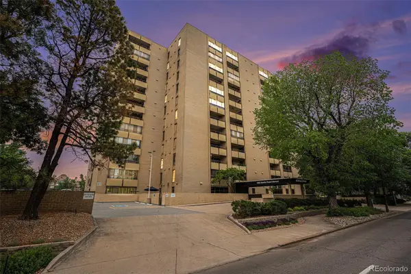 800 N Pearl Street #1109, Denver, CO 80203