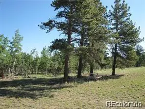 257 Bolster Drive, Hartsel, CO 80449
