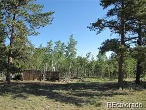 257 Bolster Drive, Hartsel, CO 80449 - #2