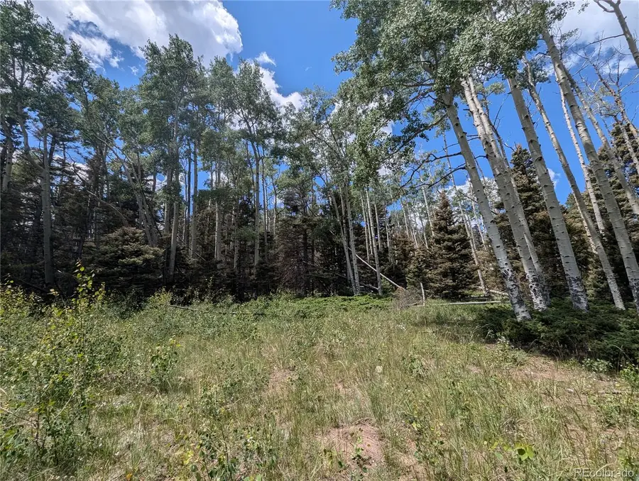 3070 Henderson Drive, Fort Garland, CO 81133 - #3