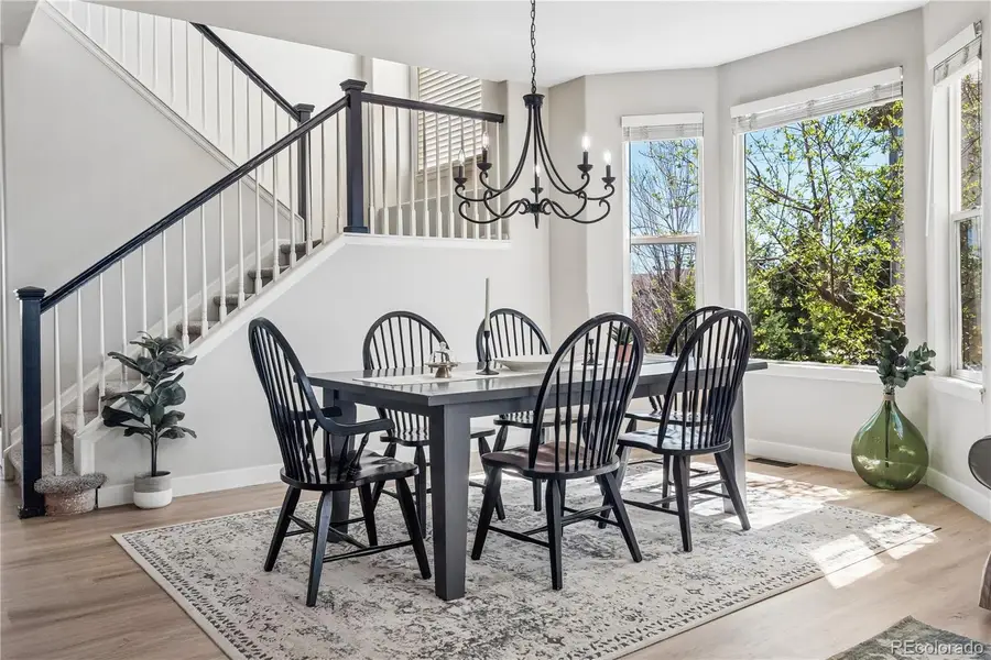 10836 Hickory Ridge Lane, Highlands Ranch, CO 80126 - #3