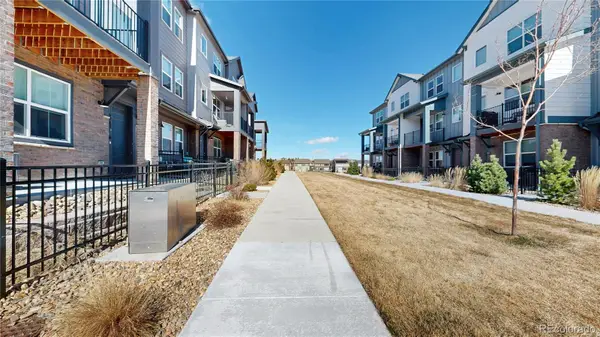 7008 Ipswich Court, Castle Pines, CO 80108