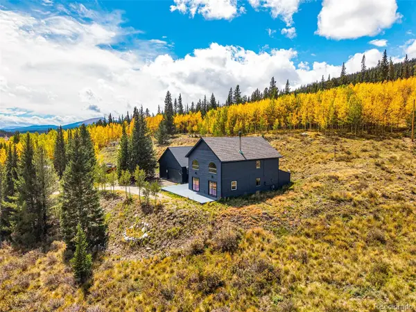 1881 River, Alma, CO 80420