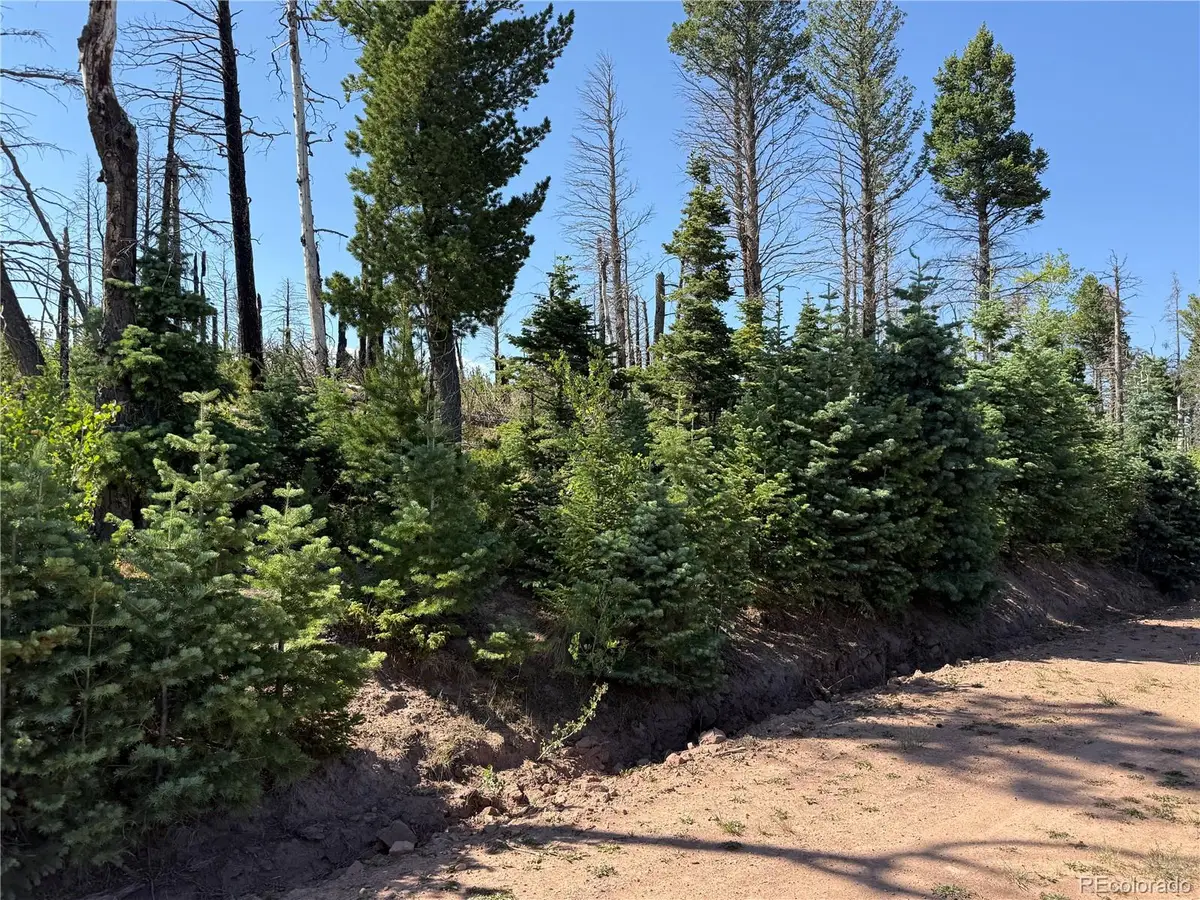 Lot 2498 Gilmartin Lane, Fort Garland, CO 81133 - #1