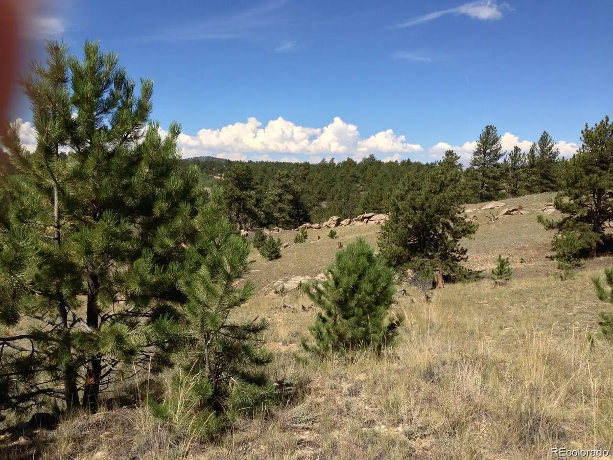 33 Jasper Way, Hartsel, CO 80449 - #1