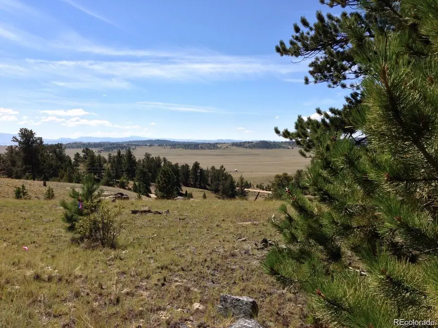 33 Jasper Way, Hartsel, CO 80449 - #3